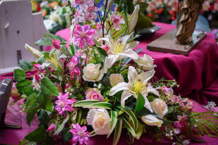 Fleurs tombante Verdun